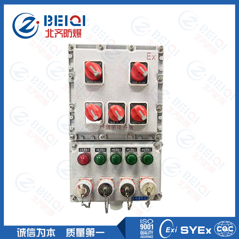 BXS防爆檢修電源插座箱